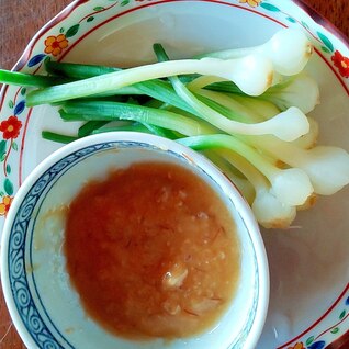 野草を食べよう　ノビルの酢みそ添え